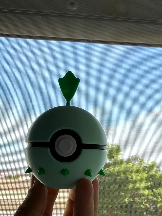 Pokeball chikorita 