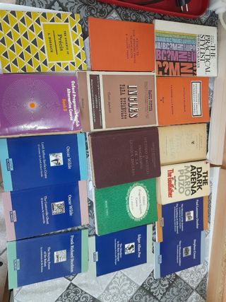 Lote libros ingles