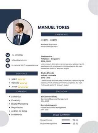 TU CURRÍCULUM PROFESIONAL