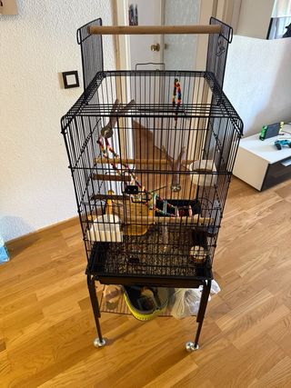 Jaula para pájaros o loro pequeño