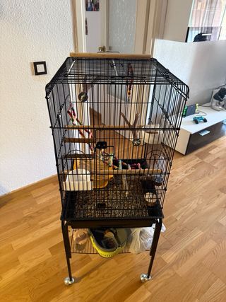 Jaula para pájaros o loro pequeño