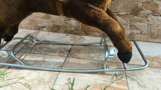 Caballo balancín marrón con ruedas