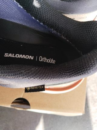 Salomon X Ultra 260 GTX Gore-Tex