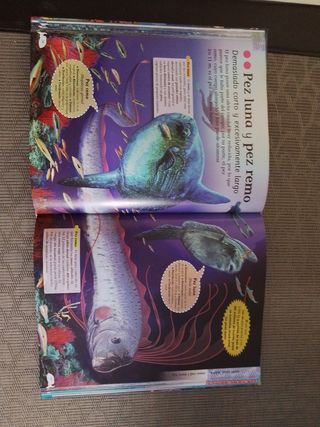 Libro sobre el oceano y sus animales