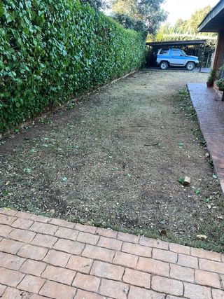 Jardinero económico en general 644052791