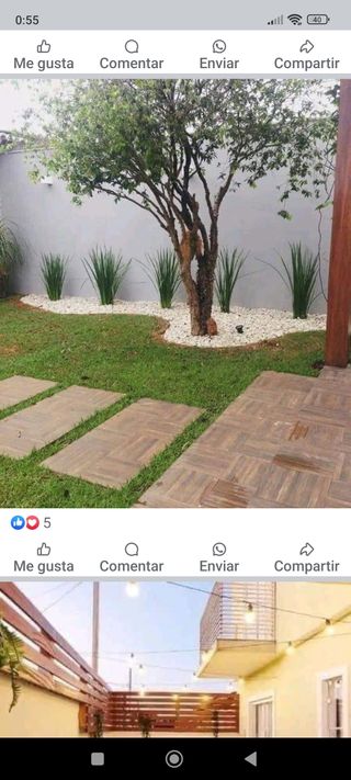 Jardinero económico en general 644052791