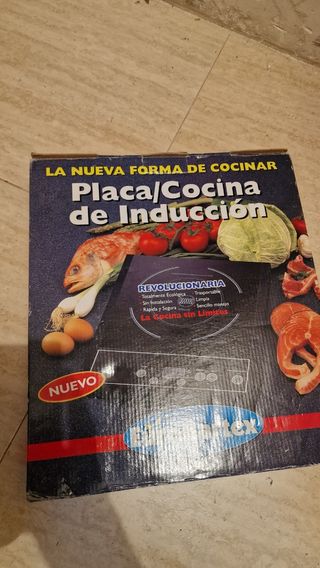 Placa de Inducción Portátil