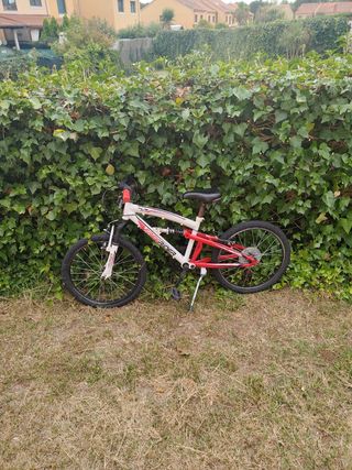 Bicicleta Montaña Infantil Free Rider 20