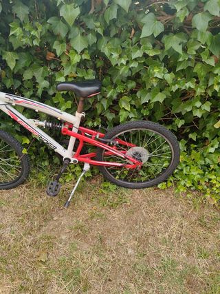 Bicicleta Montaña Infantil Free Rider 20