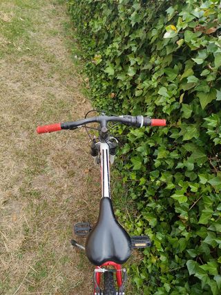 Bicicleta Montaña Infantil Free Rider 20