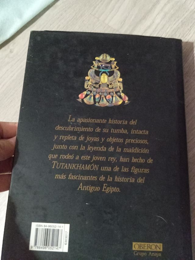 Tutankhamon: El último hijo del sol (Spanish Ed...