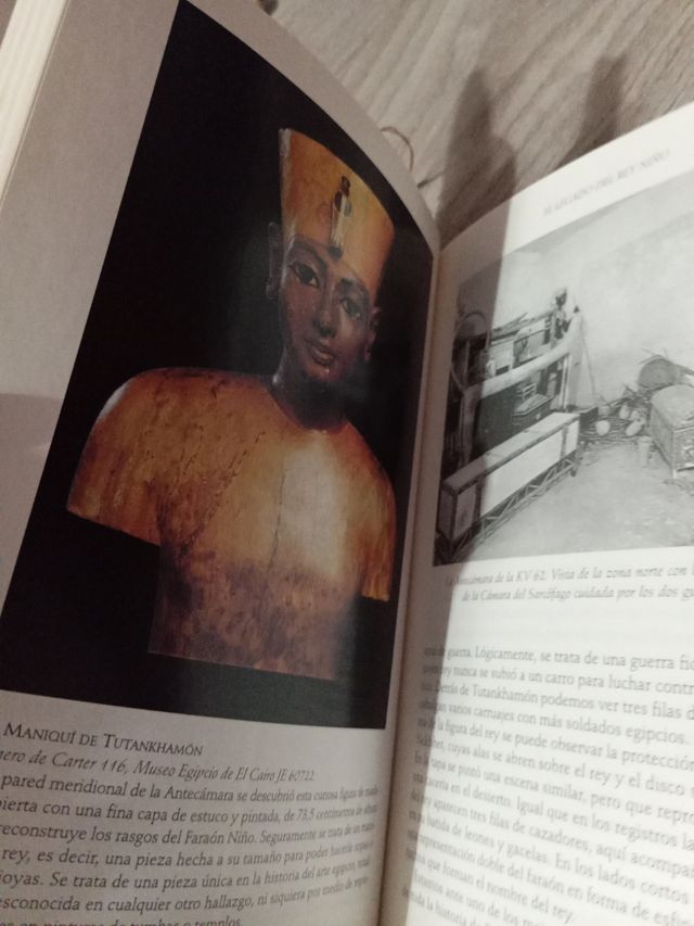 Tutankhamon: El último hijo del sol (Spanish Ed...