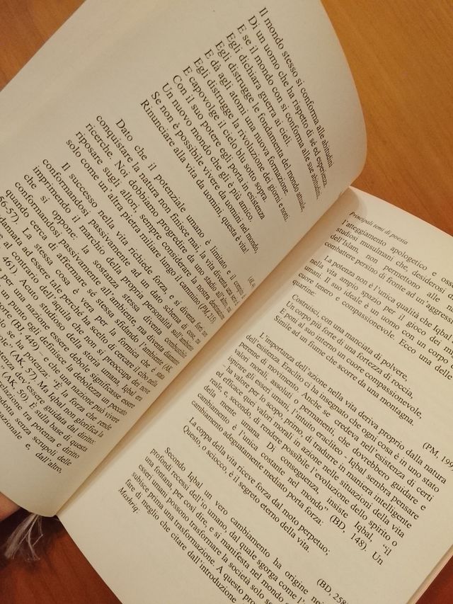 Mustansir Mir & Vito Salierno, Iqbal