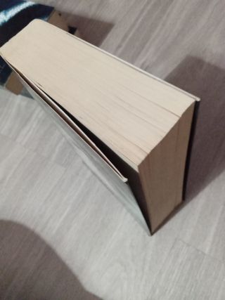 Grey («Cincuenta sombras» contada por Christian...