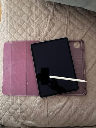iPad Pro 11 512GB 2ª Gen + Apple Pencil