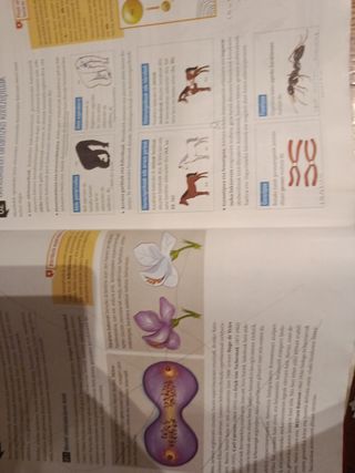 Biologia eta Geologia Dbh 4