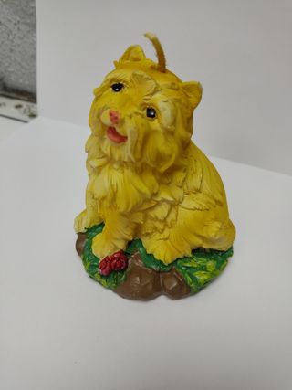 Vela perro en caja decorativa