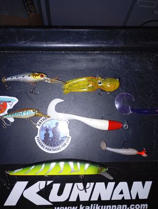 Señuelos de pesca variados