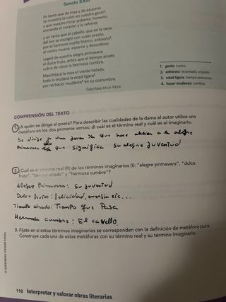 Lengua Castellana Y Literatura