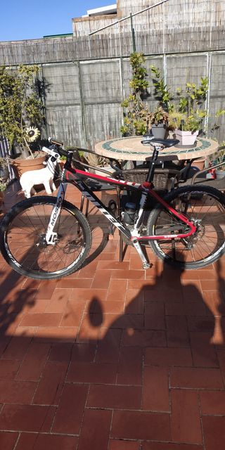 Bicicleta DITEG Carbono XT