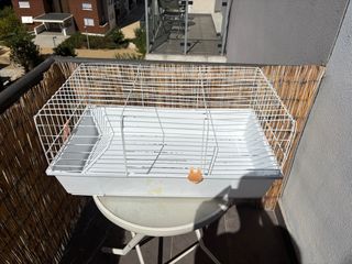 Jaula para conejo o cobaya