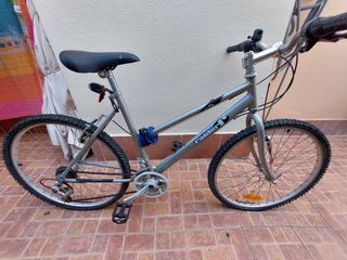 Bicicleta Raider T plateada