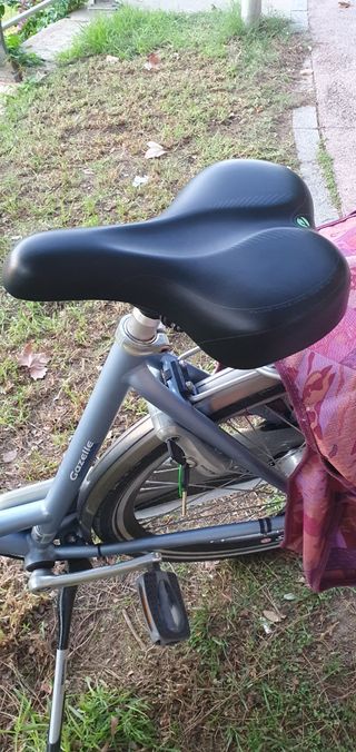 Bicicleta Gazelle Orange 28 pulgadas