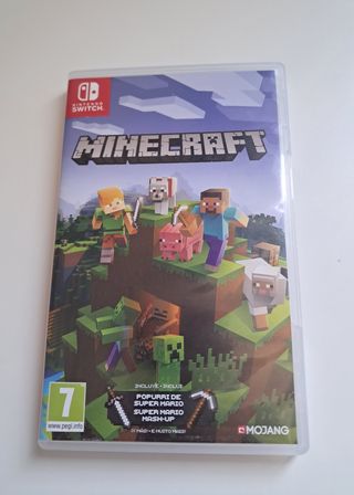 Minecraft nintendo swich