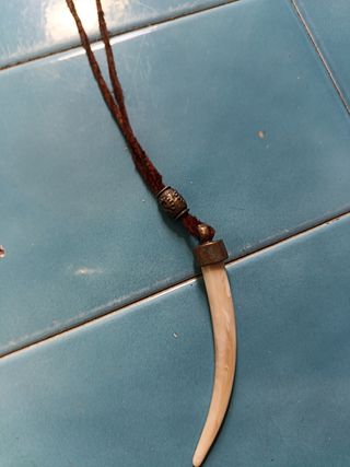 Collar con colgante de diente