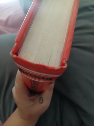 áreas consultor didáctico Lengua y Literatura 