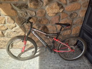 Bicicleta Freerider niño