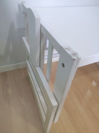 Minicuna Allegra