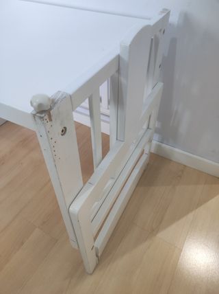 Minicuna Allegra