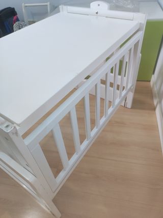 Minicuna Allegra