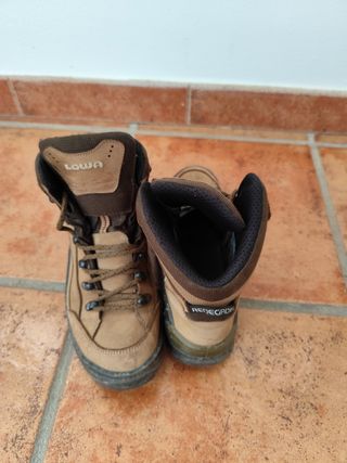 Botas de montaña Lowa Renegade GTX Talla 39