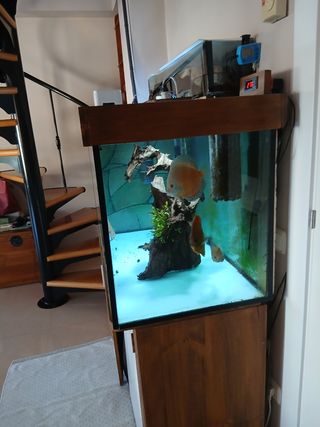 Acuario 400L