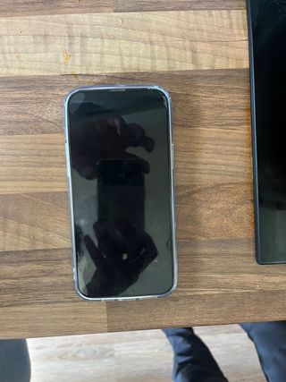 iPhone 13 Pro Max Gris Plata