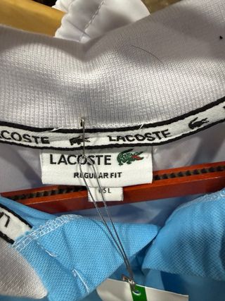 Conjunto Lacoste Sport Polo y Pantalón Talla L