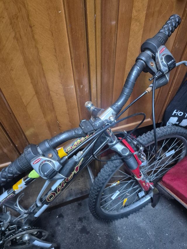 Bicicleta de montaña