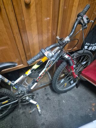 Bicicleta de montaña