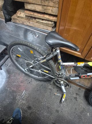 Bicicleta de montaña
