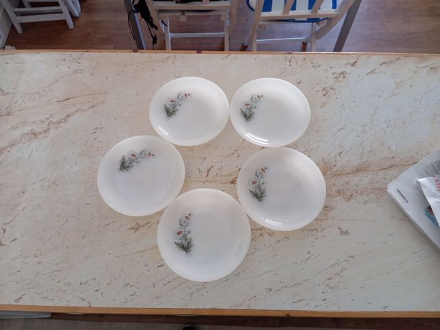  5 Platos postre Arcopal margaritas.