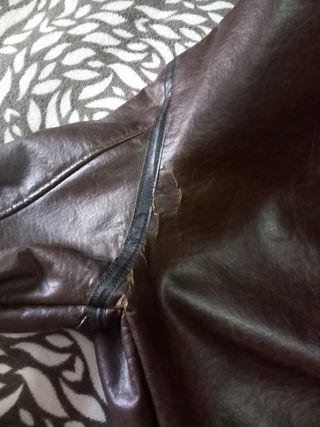 Chaquetón 3/4 Springfield Marrón