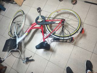 Bicicleta Zephyr Mujer