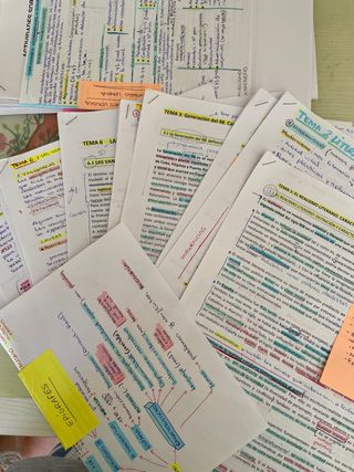 Apuntes lengua y literatura 2° bachillerato 2025