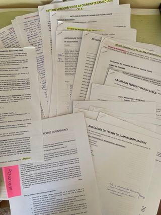 Apuntes lengua y literatura 2° bachillerato 2025