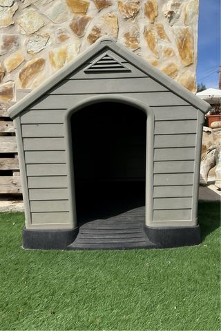 Caseta de perro