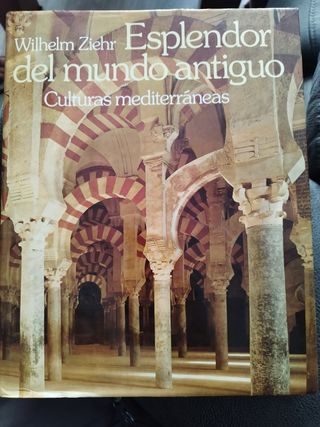Libro Esplendor del mundo antiguo 