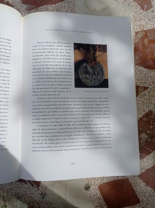 Sevilla, ciudad de Privilegios: Escritura y pod...