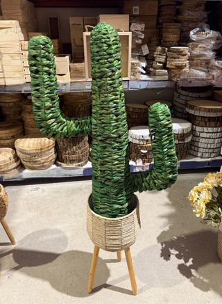 Pack Macetero + Cactus Mimbre y Madera